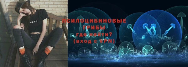 соль курить ск Дмитровск