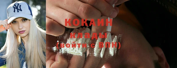 прущие крисы Дмитриев