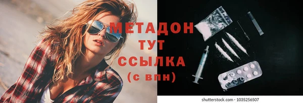 шишки Дмитров