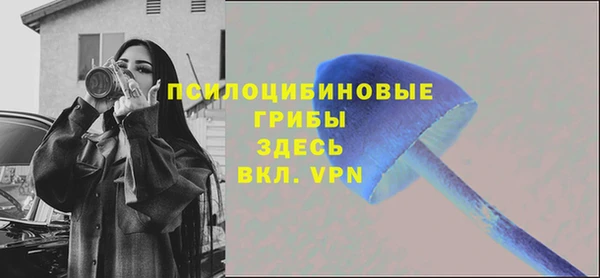 шишки Дмитров