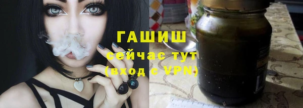 шишки Дмитров