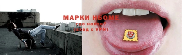 шишки Дмитров