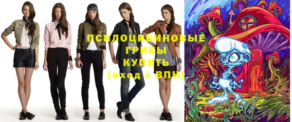 шишки Дмитров