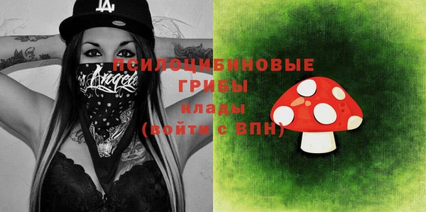соль курить ск Дмитровск