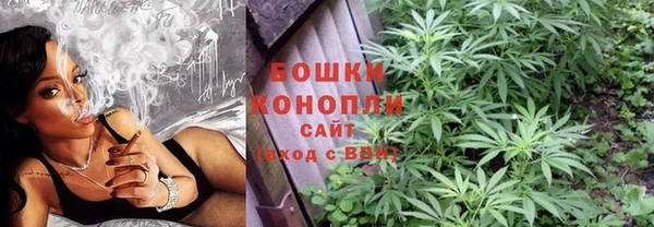 прущие крисы Дмитриев