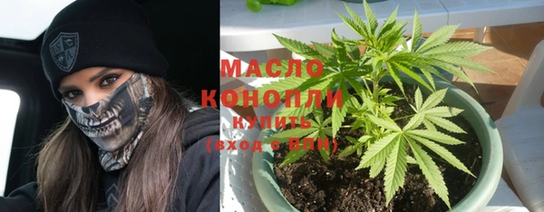 СК Елизово