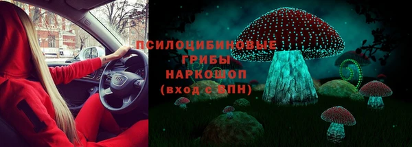 шишки Дмитров