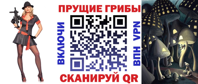 Галлюциногенные грибы Psilocybine cubensis  Купить закладки  Евпатория 